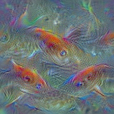 n01443537 goldfish, Carassius auratus